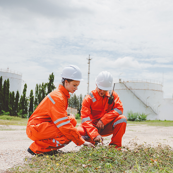 Business Strategy Image